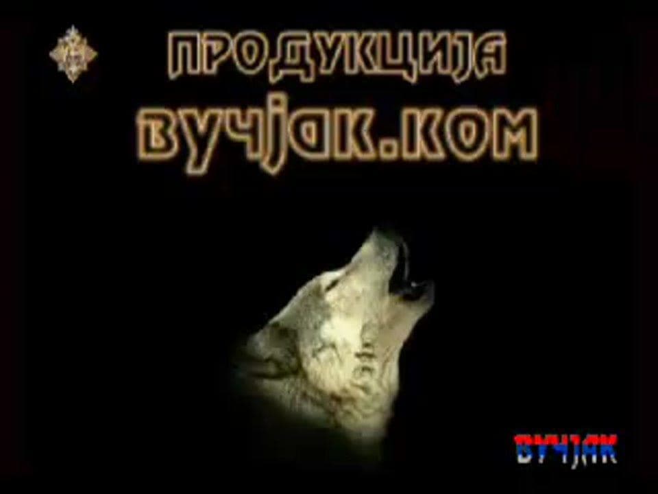 Турбофолкске Архива