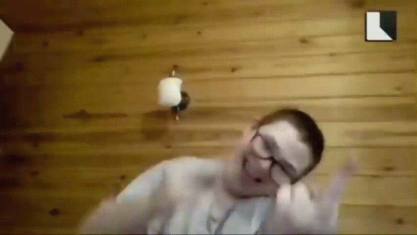 Жизнь Кота