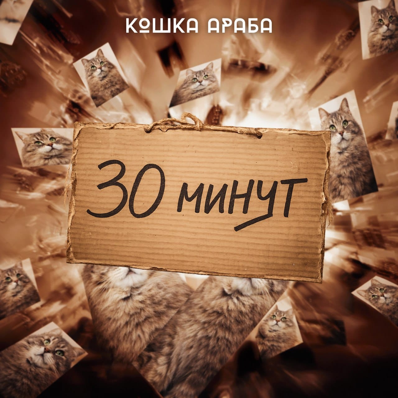 кошка араба - 30 минyт